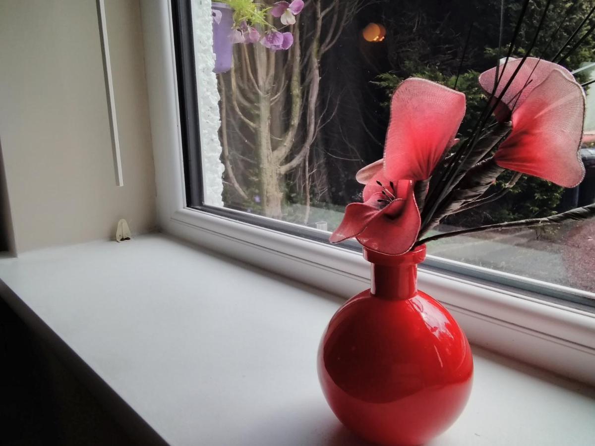 Windermere Studio Rooms - With Free Car Parking Onsite Exterior foto